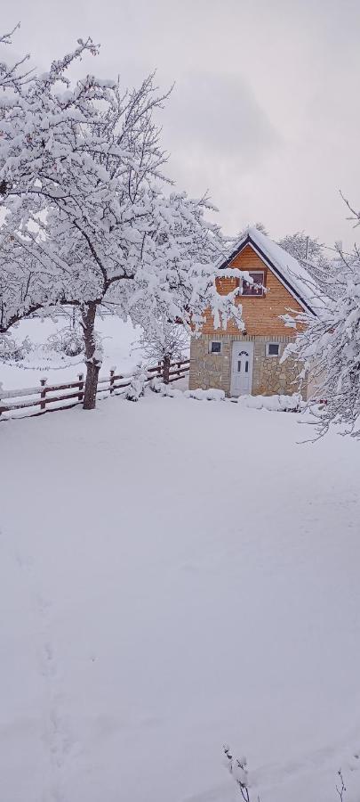 Holiday home Vikendica Rakovic