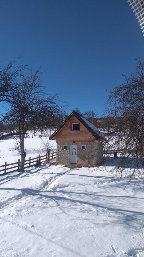 Vikendica Rakovic Holiday home *